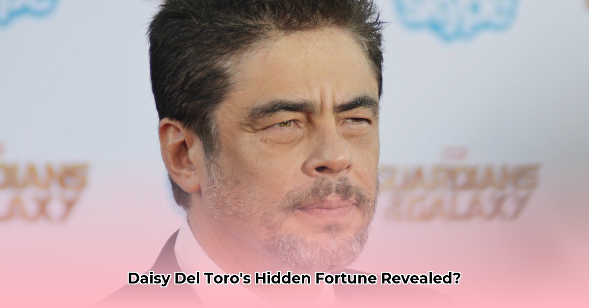 daisy-del-toro-net-worth